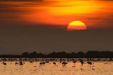 Lo Claustre Del Delta- Lux Finca In Delta Del Ebro - Finca Privada -No Hay Ningun Servicio Hoteleria- Solo Alojamiento Sant Carlos de la Ràpita 0*,  Španělsko